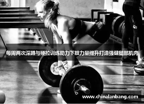 每周两次深蹲与硬拉训练助力下肢力量提升打造强健腿部肌肉