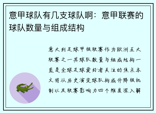 意甲球队有几支球队啊：意甲联赛的球队数量与组成结构