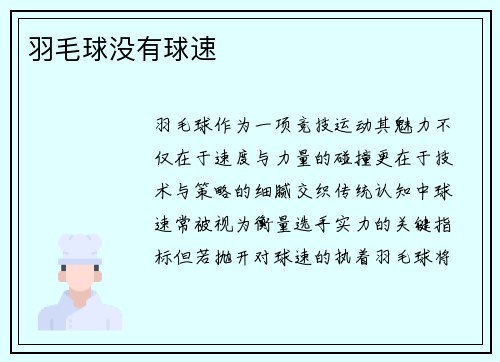 羽毛球没有球速